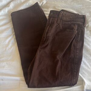 Hollister Dark Brown Jeans